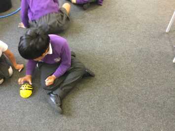 BeeBots in 1B