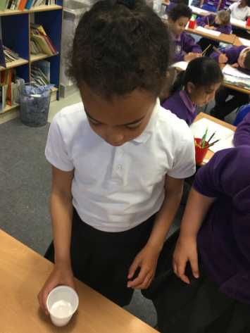 Investigating Fossils in 3R