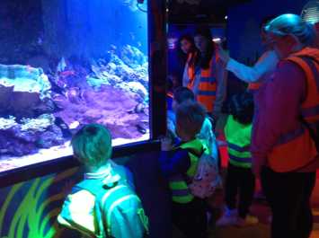 Nursery visit the aquarium