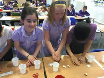 Investigating Fossils in 3R