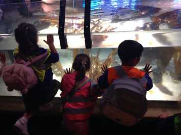 Nursery visit the aquarium
