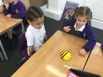Fun with Beebots in 1L