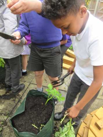 Digging for treasure in the school garden