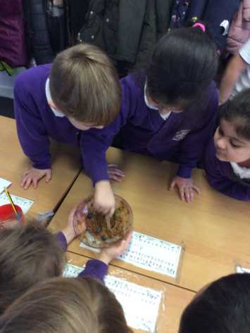 Year 1 Science Investigation