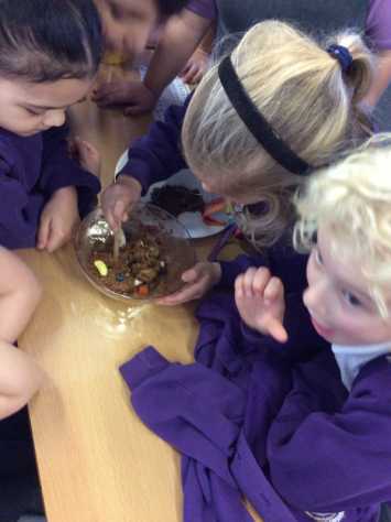 Year 1 Science Investigation