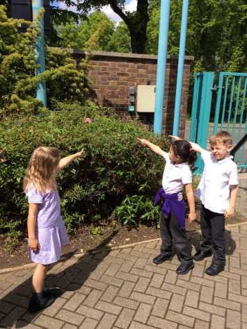Year One Observing Spring