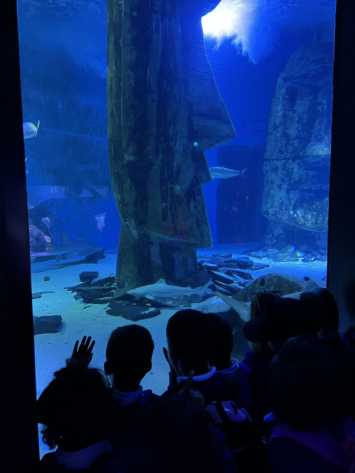 Reception take over the aquarium