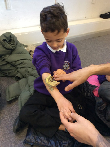 Year 1’s Animal Experience Day