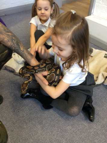 Year 1’s Animal Experience Day