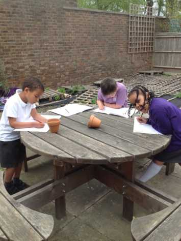 2B observe plants and trees in science
